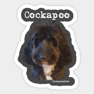 Black and White Cockapoo / Spoodle and Doodle Dog Sticker